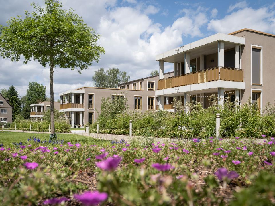 Waldpark Lehnsgrund