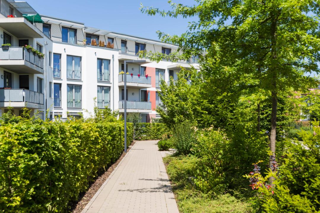 Kirschblüten Carré