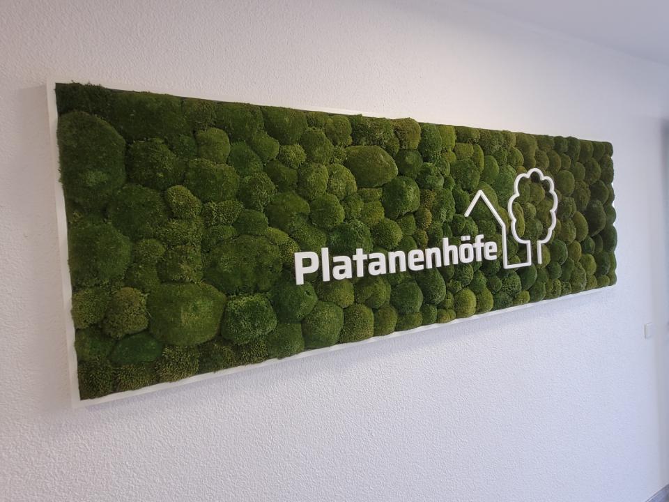 Platanenhöfe